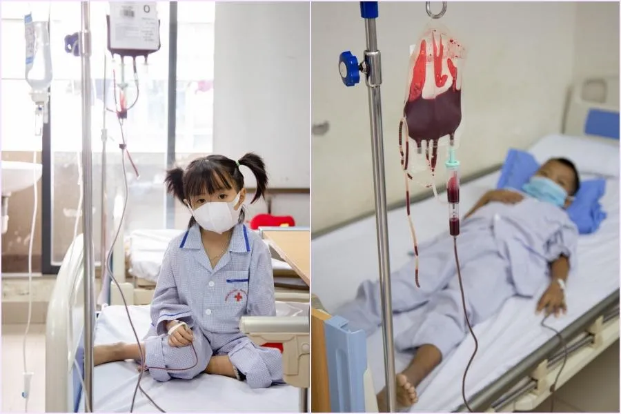 Ước tính mỗi năm cả nước có thêm khoảng 8.000 trẻ em sinh ra bị bệnh thalassemia. Ảnh: CÔNG THẮNG Ước tính mỗi năm cả nước có thêm khoảng 8.000 trẻ em sinh ra bị bệnh thalassemia. Ảnh: CÔNG THẮNG