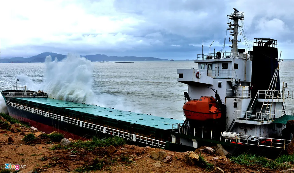 'Nghĩa địa' tàu hàng bị chìm sau bão số 12 ở Quy Nhơn ảnh 8