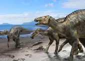 Phát hiện loài khủng long mới ở Nhật Bản