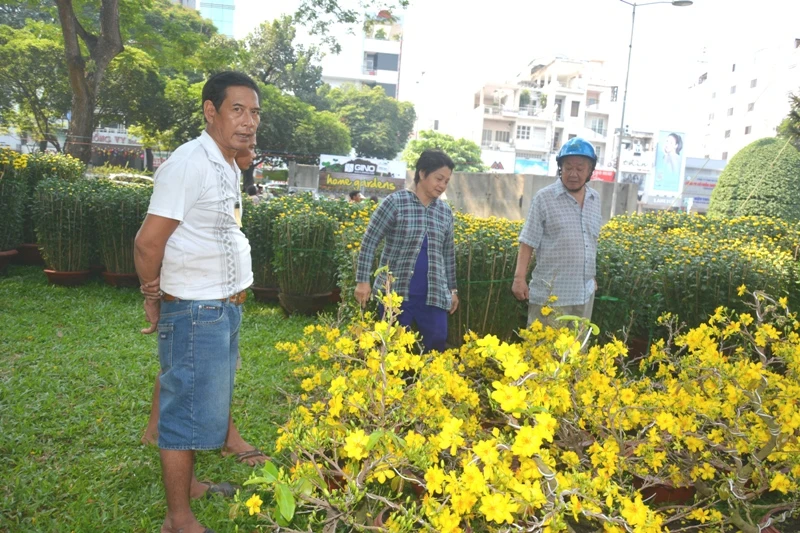 Hoa tết 'khổ' với nắng nóng Sài Gòn ảnh 8