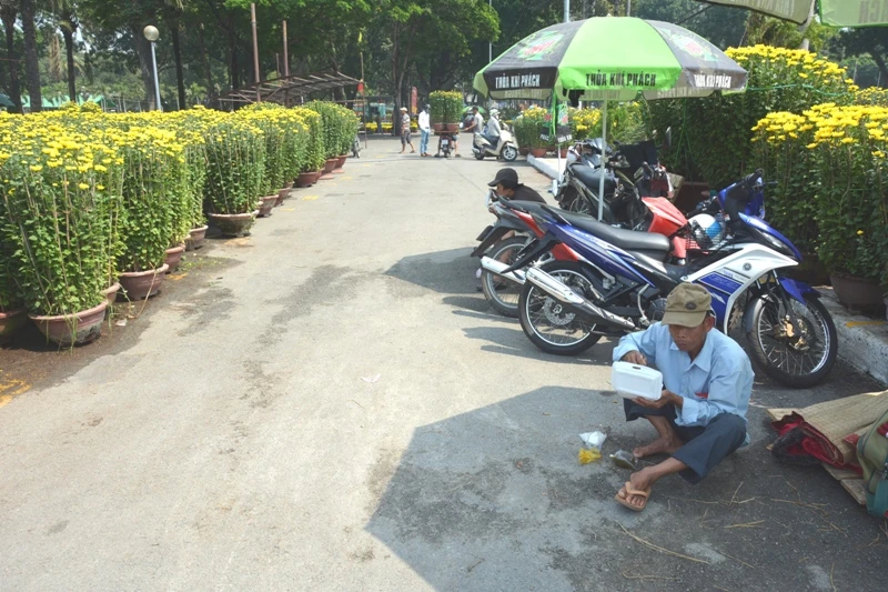 Hoa tết 'khổ' với nắng nóng Sài Gòn ảnh 6