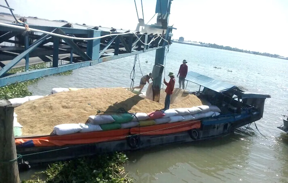 'Cú thắng gấp ngừng xuất khẩu gạo làm mất cơ hội lớn' ảnh 2