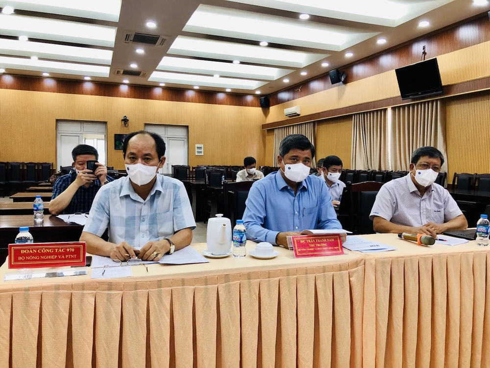 Nhiều nông sản lo bị đổ bỏ, Tổ công tác ra tay ảnh 1