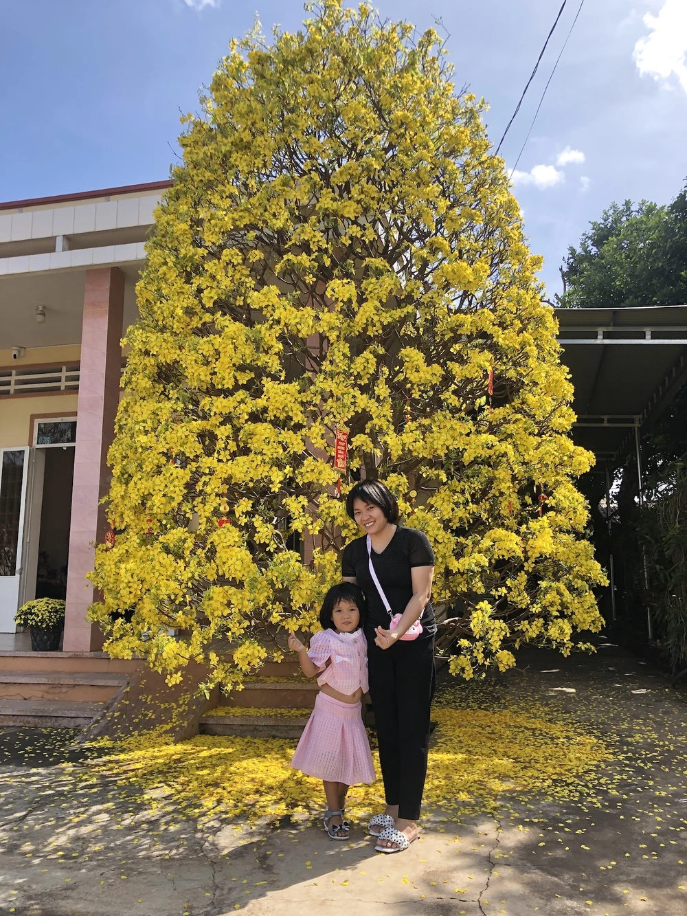 Du khách ghé chụp hình và gửi chúc tết tốt đẹp đến chủ nhà. (Ảnh: QH)