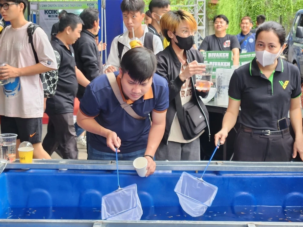 Lễ hội cá cảnh lần này còn có các khu vực triển lãm, trưng bày, trò chơi nhằm thu hút khách tham quan và quảng bá nhiều dòng cá cảnh quý. Ảnh: QH