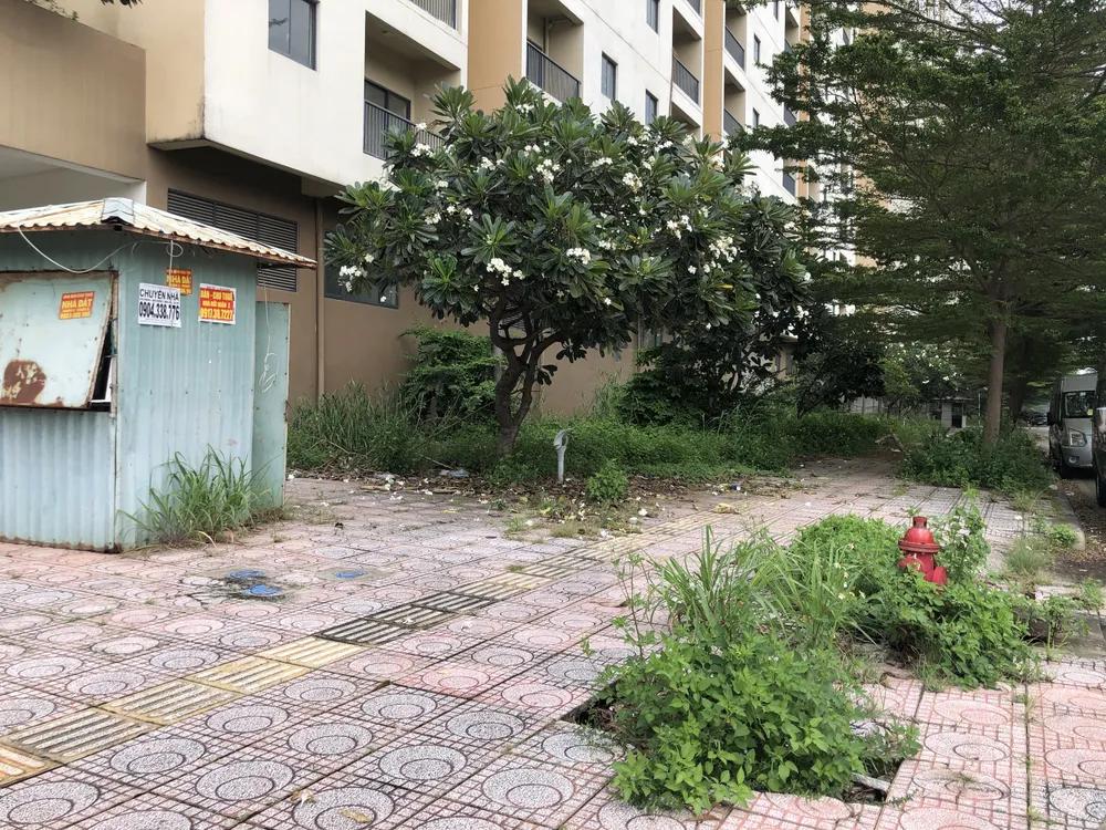 căn hộ tái định cư