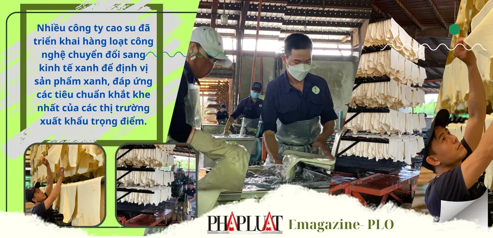 cao-su-kinh-te-tuan-hoan-vang-trang