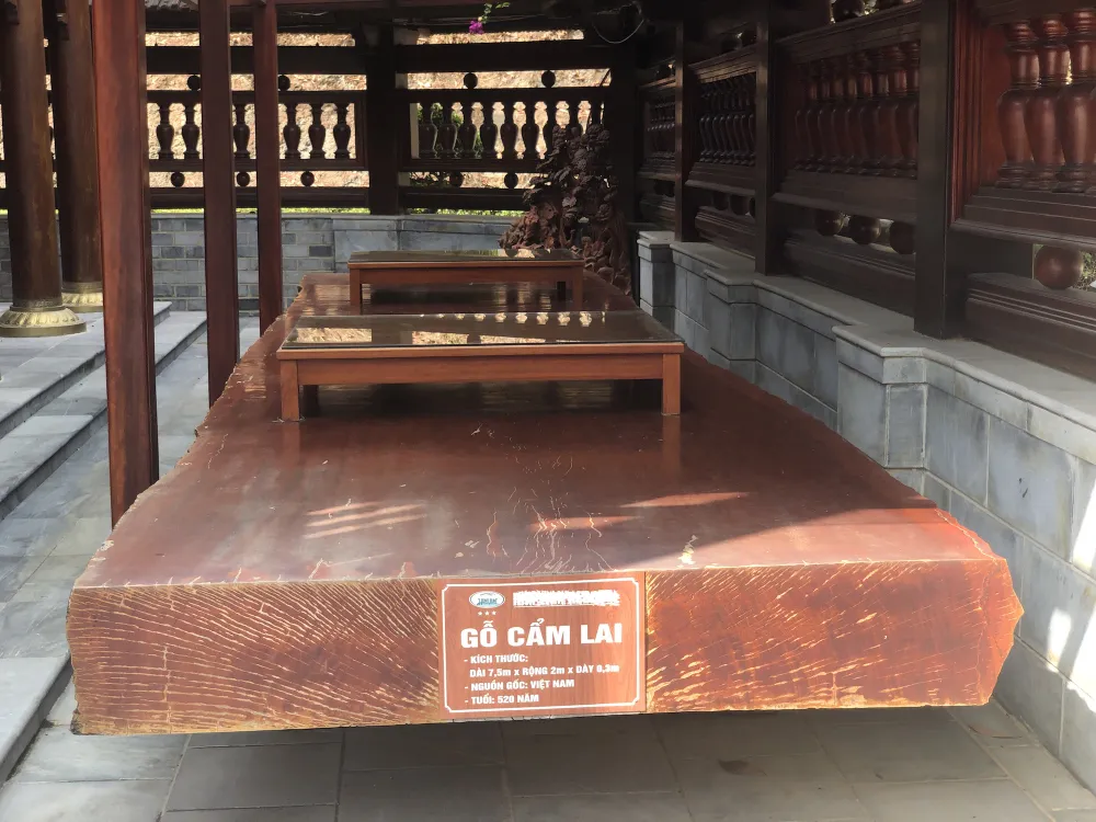 nha-san-lon-nhat-viet-nam-go-lim7-2064.jpg