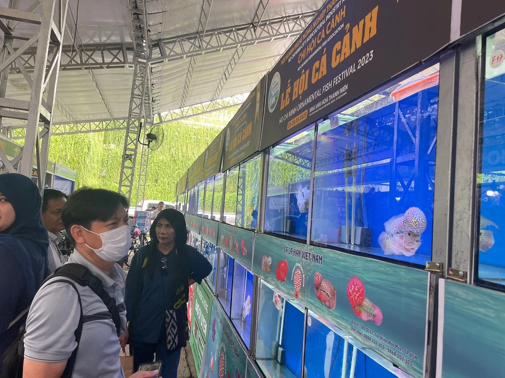 cá cảnh xuất khẩu