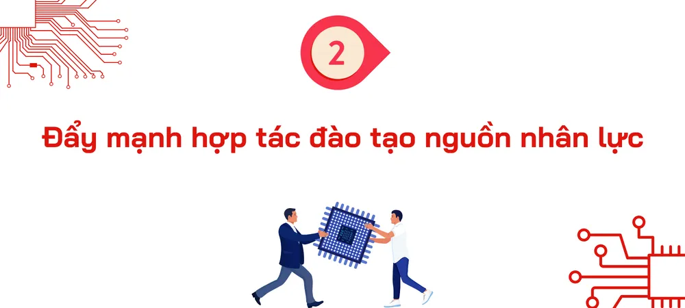 nhan-luc-vi-mach-ban-dan-tphcm2.png