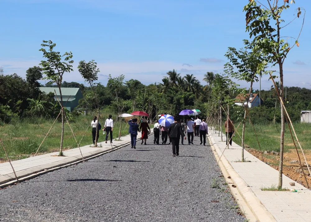 thị trường đất nền