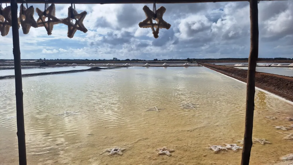 muối Bạc Liêu
