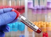 TP.HCM: Thêm 1 ca nhiễm Omicron là tiếp viên hàng không nước ngoài ảnh 3 Thông tin mới nhất về 5 ca nhập cảnh nhiễm biến chủng Omicron
