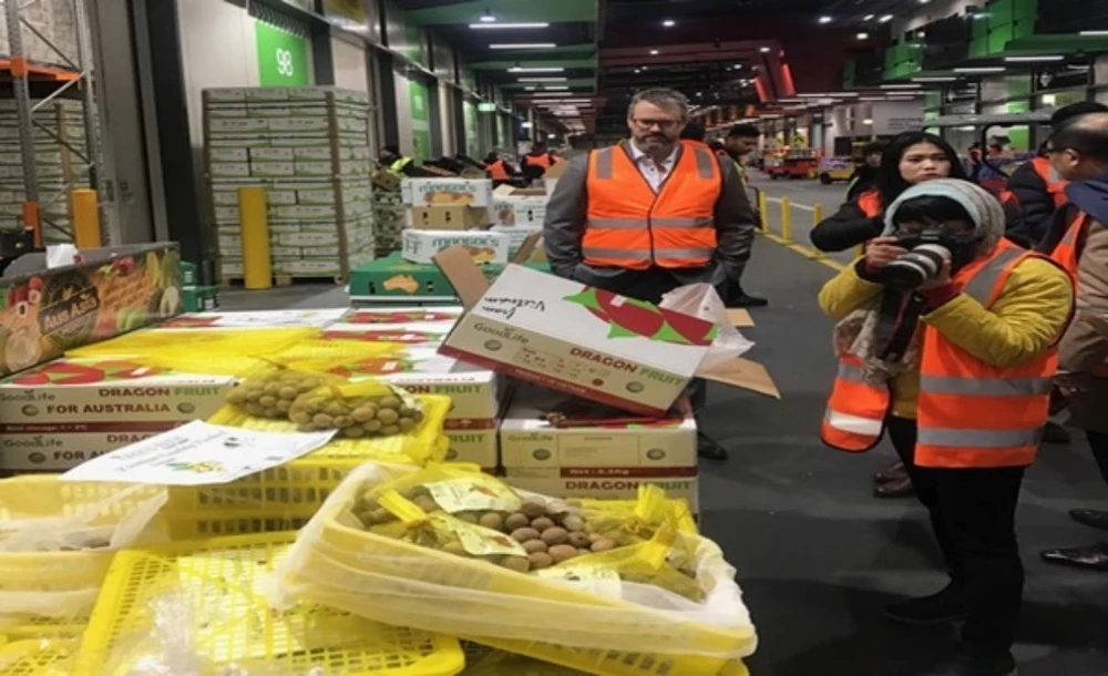 'Giải cứu' lô nhãn đầu tiên vừa xuất khẩu sang Úc ảnh 1