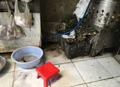 Xử lý nhiều trường hợp kinh doanh, giết mổ gia cầm trái phép ảnh 1 Giết mổ gia cầm không đảm bảo, có cấm được không?