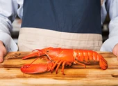 Tôm hùm Úc bất ngờ giảm giá mạnh ảnh 2 Món tôm hùm đắt tiền có chứa dinh dưỡng gì?