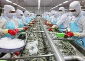 Trung Quốc ưa thích cua ghẹ, bạch tuộc, cá tra của Việt Nam ảnh 1 Cảnh báo xuất khẩu tôm bị ảnh hưởng bởi xung đột Nga - Ukraine