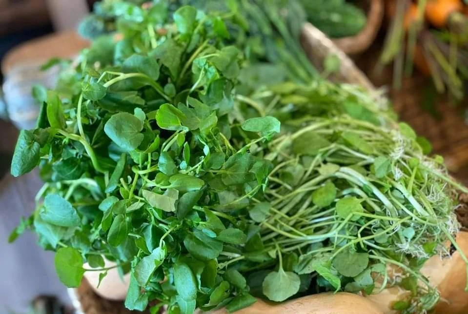 Ăn cải xoong sống rất dễ nhiễm ký sinh trùng. ẢNH: HẠ QUYÊN