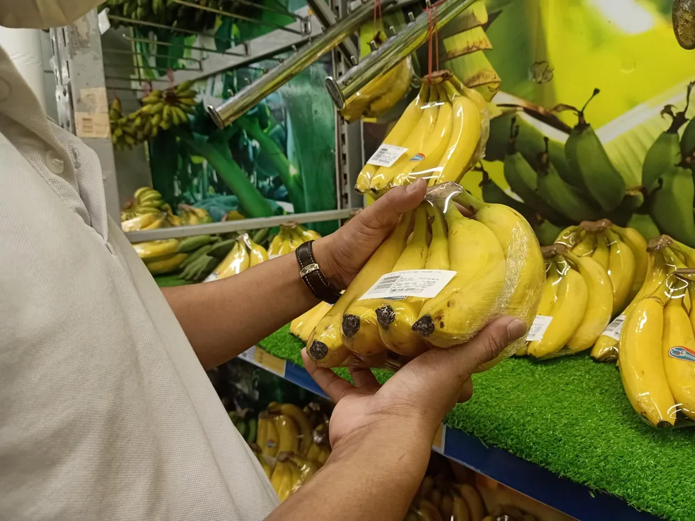 Chuối là thực phẩm đặc biệt phù hợp cho vận động viên sau mỗi giờ luyện tập hoặc vận động cường độ cao. ẢNH: HẠ QUYÊN Chuối là thực phẩm đặc biệt phù hợp cho vận động viên sau mỗi giờ luyện tập hoặc vận động cường độ cao. ẢNH: HẠ QUYÊN