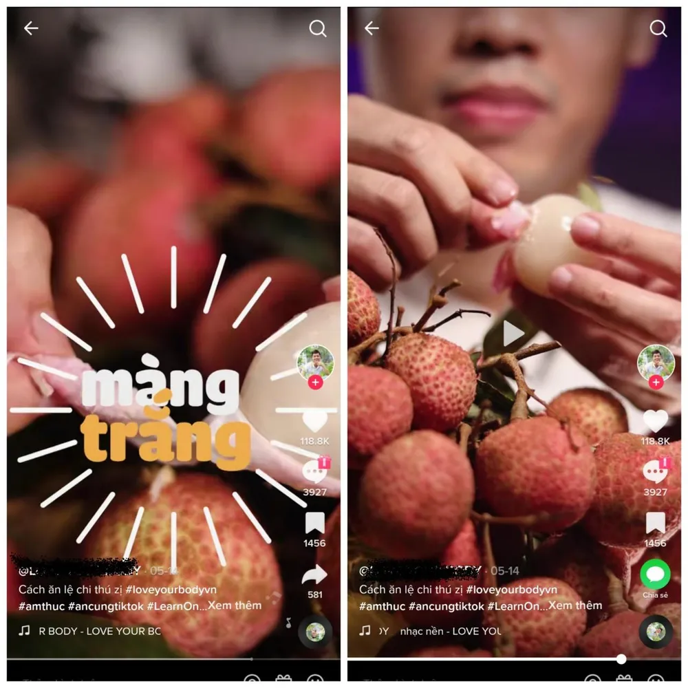 Mẹo ăn vải không lo bị nóng đang được chia sẻ rầm rộ trên mạng xã hội TikTok. ẢNH: HẠ QUYÊN Mẹo ăn vải không lo bị nóng đang được chia sẻ rầm rộ trên mạng xã hội TikTok. ẢNH: HẠ QUYÊN