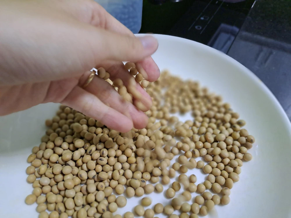 Thực hư đậu nành gây yếu sinh lý và 'nữ hóa' nam giới? ảnh 1