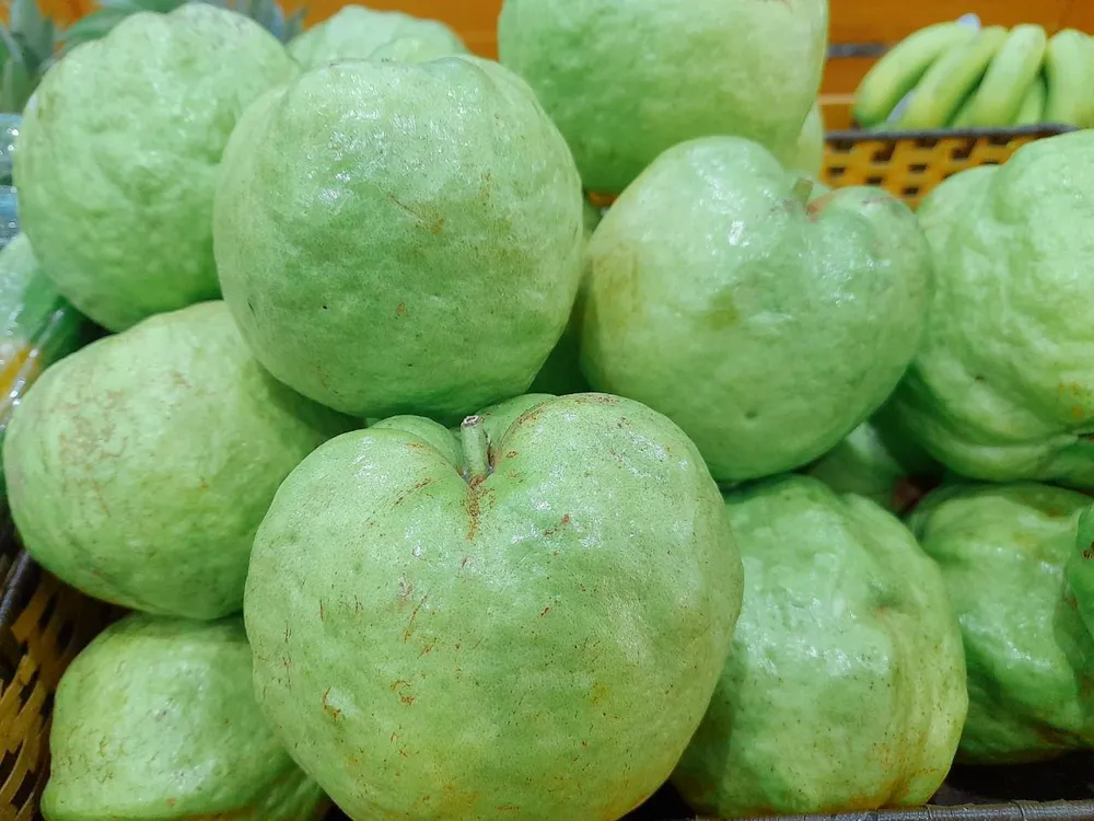 Bổ sung thực phẩm giàu vitamin C để phòng chống hoặc hỗ trợ phục hồi sức khỏe khi điều trị bệnh đậu mùa khỉ. ẢNH: HẠ QUYÊN Bổ sung thực phẩm giàu vitamin C để phòng chống hoặc hỗ trợ phục hồi sức khỏe khi điều trị bệnh đậu mùa khỉ. ẢNH: HẠ QUYÊN