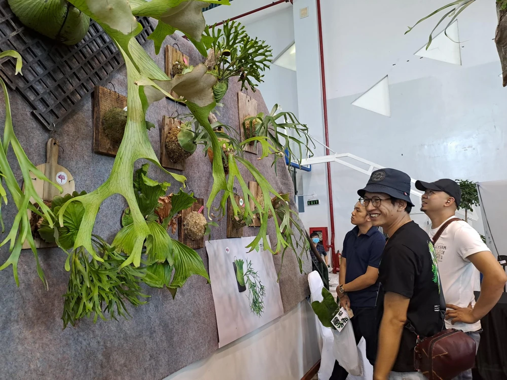 Khách tham quan khá thích thú trước những dòng kiểng lá họ dương xỉ độc đáo. Ảnh: THU HÀ