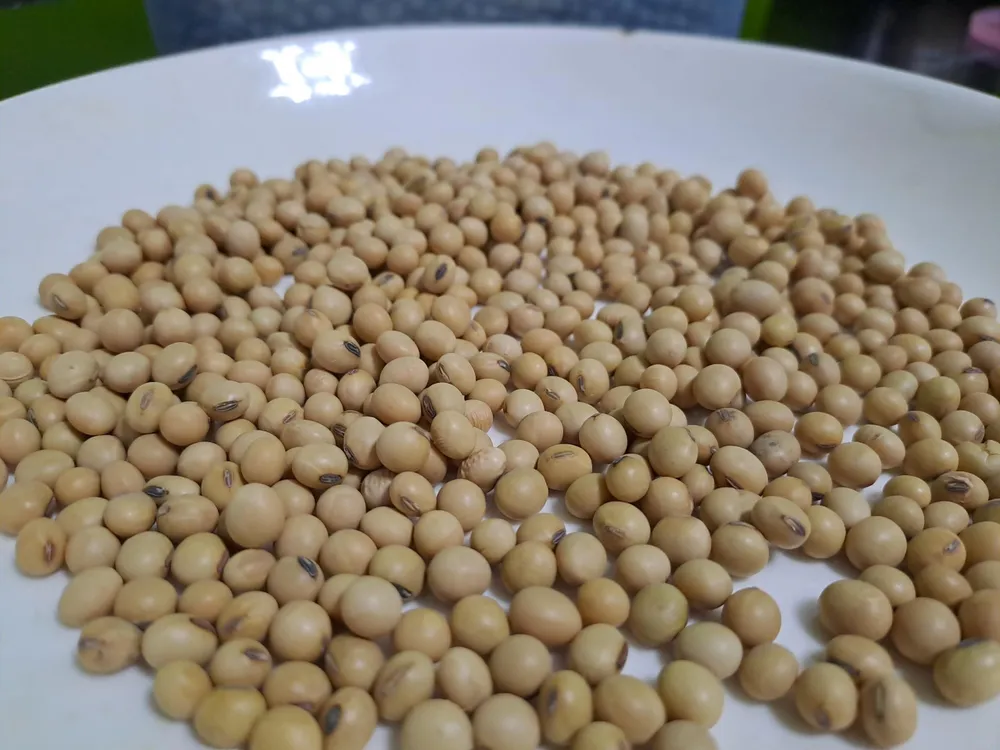 Đàn ông độ tuổi trung niên cần bổ sung những thực phẩm giàu canxi và vitamin D. ẢNH: HẠ QUYÊN Đàn ông độ tuổi trung niên cần bổ sung những thực phẩm giàu canxi và vitamin D. ẢNH: HẠ QUYÊN