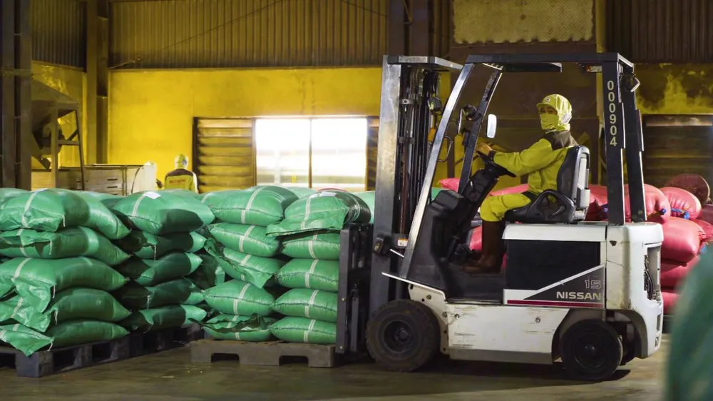 Việc xuất khẩu của công ty Mê Trang được thuận lợi hơn khi tham gia kinh doanh trên sàn TMĐT xuyên biên giới. ẢNH: THU HÀ Việc xuất khẩu của công ty Mê Trang được thuận lợi hơn khi tham gia kinh doanh trên sàn TMĐT xuyên biên giới. ẢNH: THU HÀ