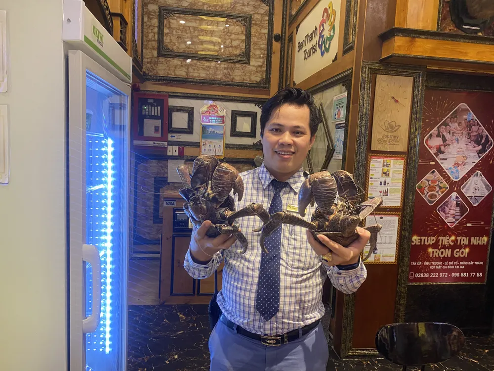 cua-dua-6trieu-con Mỗi con cua dừa sẽ có trọng lượng 1,5 - 2kg, giá bán từ 6 triệu - 7 triệu đồng/con.