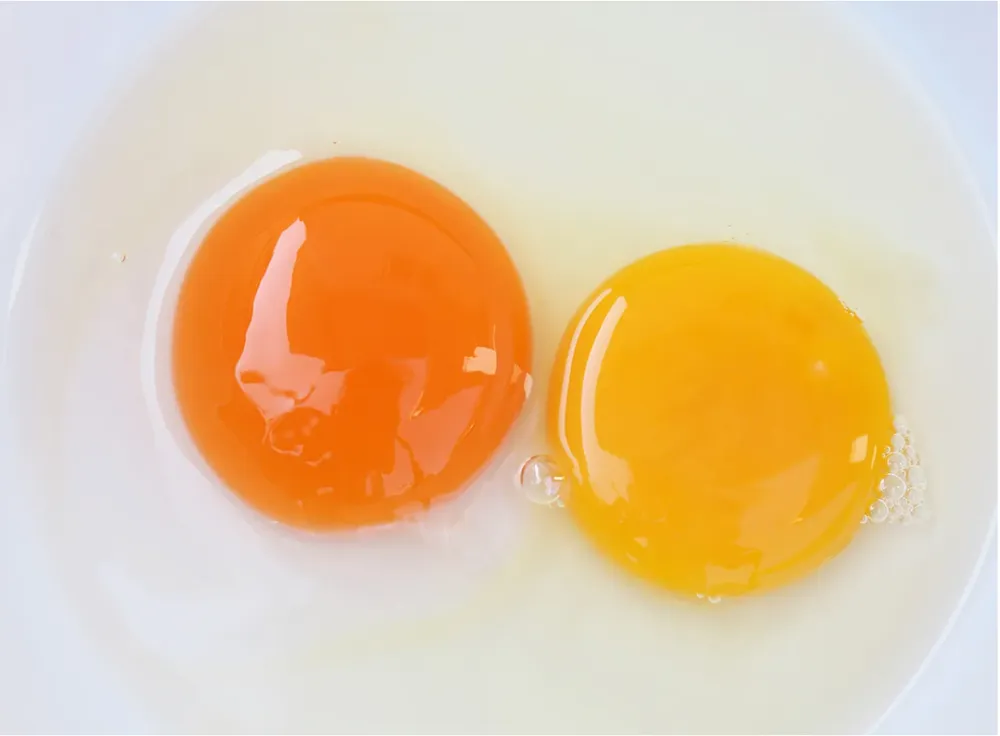 Màu sắc của trứng không quyết định giá trị dinh dưỡng của trứng