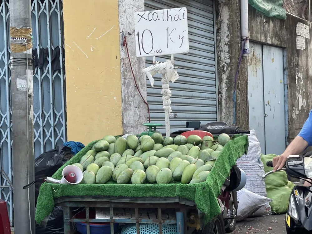 Xoài thái được bán rất nhiều tại chợ truyền thống, với giá chỉ 10.000 đồng/kg nhưng vẫn vắng khách mua. Ảnh: THU HÀ Xoài thái được bán rất nhiều tại chợ truyền thống, với giá chỉ 10.000 đồng/kg nhưng vẫn vắng khách mua. Ảnh: THU HÀ