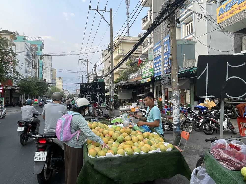 Xoài Úc đang được bán với giá dao động từ 10.000 - 15.000 đồng/kg, quả ngọt, đều. Ảnh: THU HÀ Xoài Úc đang được bán với giá dao động từ 10.000 - 15.000 đồng/kg, quả ngọt, đều. Ảnh: THU HÀ