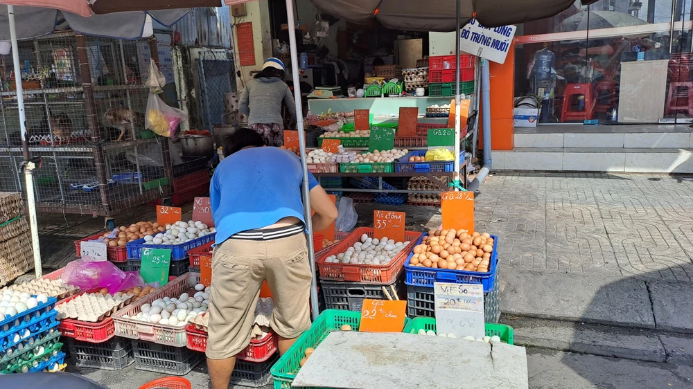 Đáng chú ý hiện trứng gà ta so còn rẻ hơn trứng gà công nghiệp. Ảnh: THU HÀ
