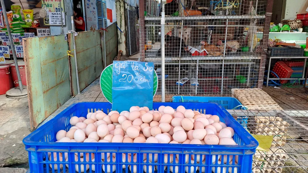 Trứng gà so chỉ 20.000 đồng/chục rẻ hơn trứng gà công nghiệp và gà ta. Ảnh: HẠ QUYÊN Trứng gà so chỉ 20.000 đồng/chục rẻ hơn trứng gà công nghiệp và gà ta. Ảnh: HẠ QUYÊN
