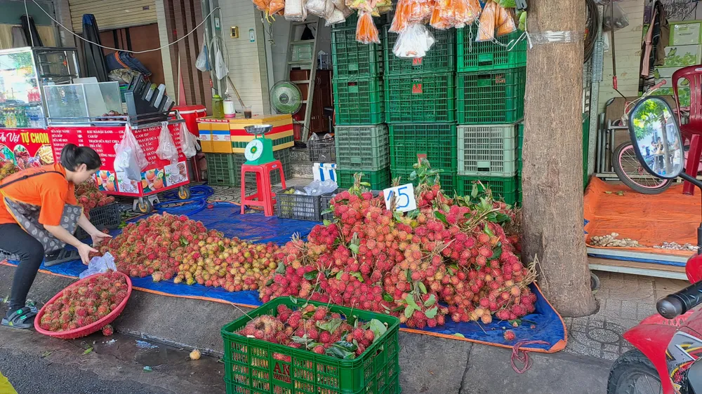 Hoa quả dịp Tết Đoan ngọ rất rẻ do trúng mùa vụ của các loại trái cây. Ảnh: THU HÀ
