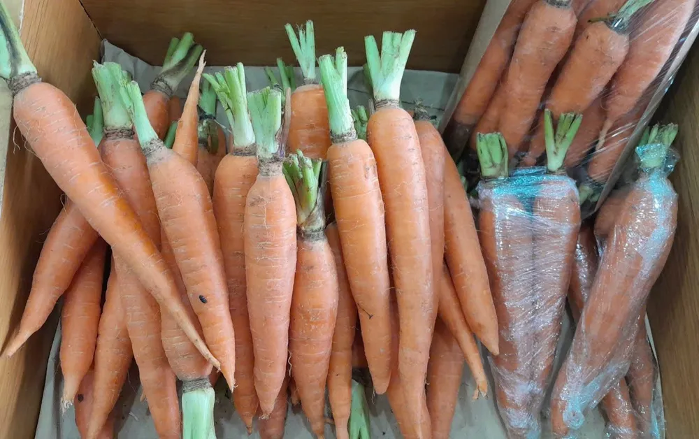 Cà rốt khi nấu chín sẽ giúp bạn hấp thu được hầu hết carotene- nguồn sinh ra vitamin A có trong chúng. Ảnh: HẠ QUYÊN