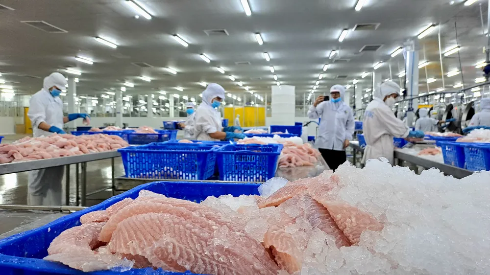 Mức sụt giảm về kim ngạch xuất khẩu cá tra đang được thu hẹp. Ảnh: THU HÀ