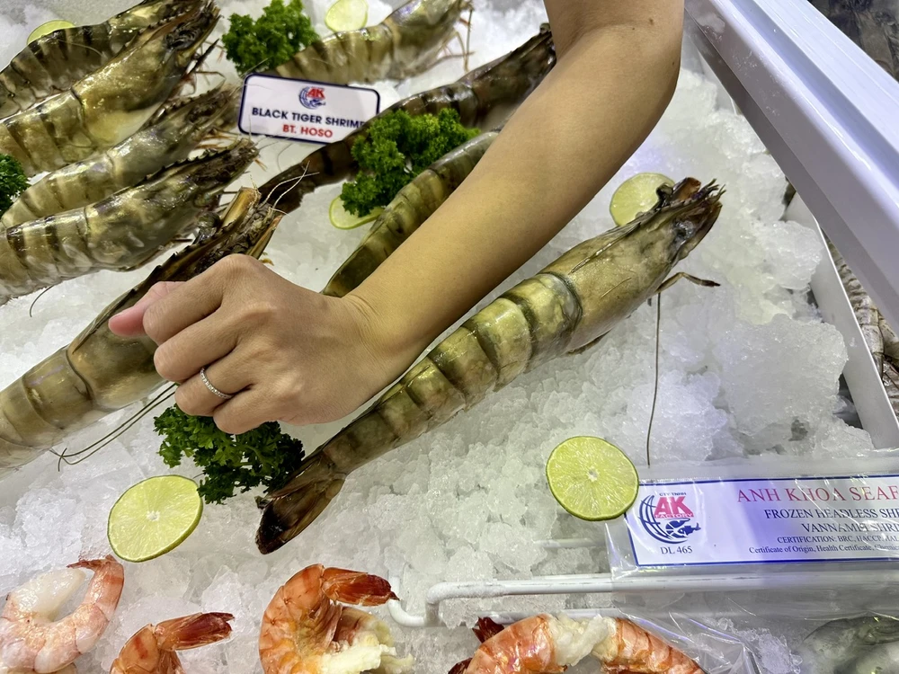 Tôm sú cỡ lớn có trọng lượng gần nửa kg thu hút sự chú ý của khách trong và ngoài nước, bởi chúng có màu sắc đỏ tươi, tượng trưng cho may mắn, thường sử dụng vào các dịp lễ tết quan trọng. ẢNH: THU HÀ