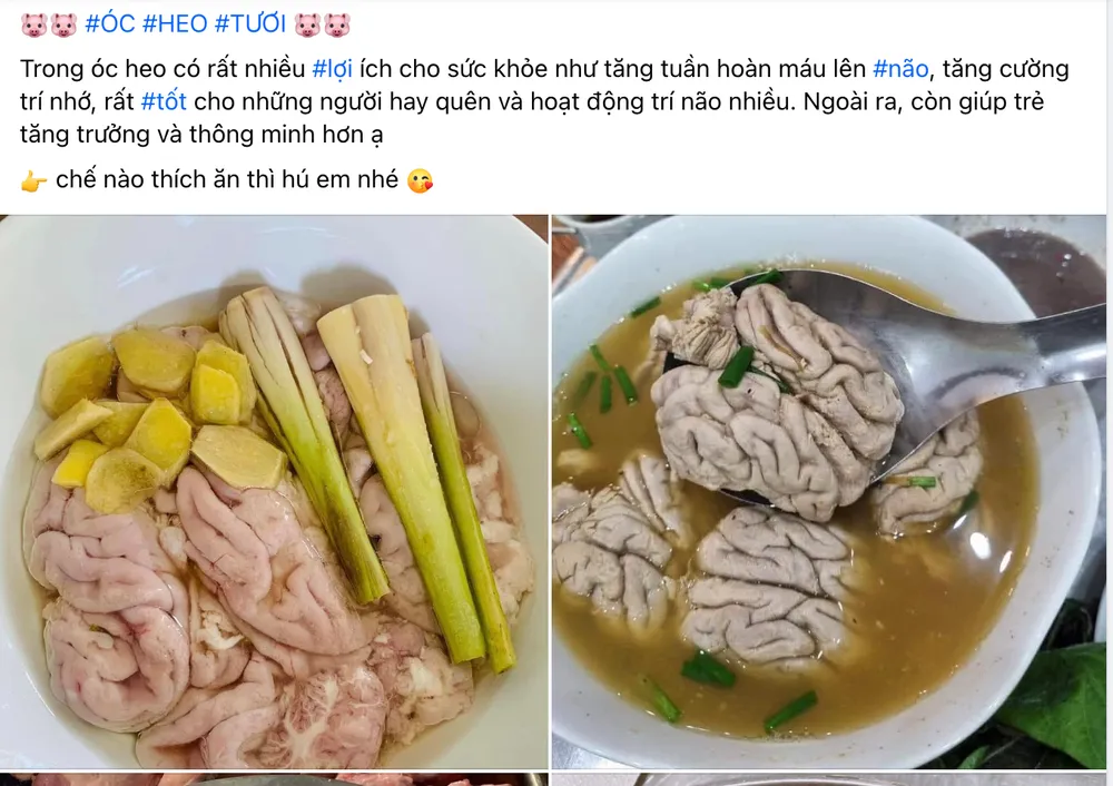Óc heo và tủy heo thường được dân gian truyền miệng là có nhiều tác dụng tốt cho sức khỏe. Ảnh: HẠ QUYÊN óc heo tủy heo
