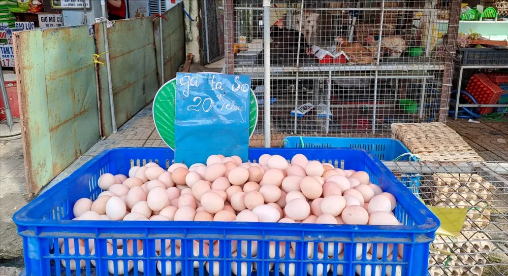 Người tiêu dùng vẫn nên rửa trứng và lau khô trước khi bảo quản trong tủ lạnh rửa trứng trước khi bảo quản trong tủ lạnh