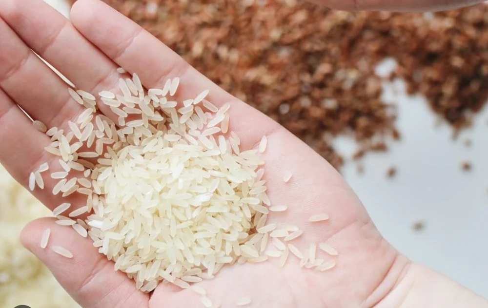 gạo