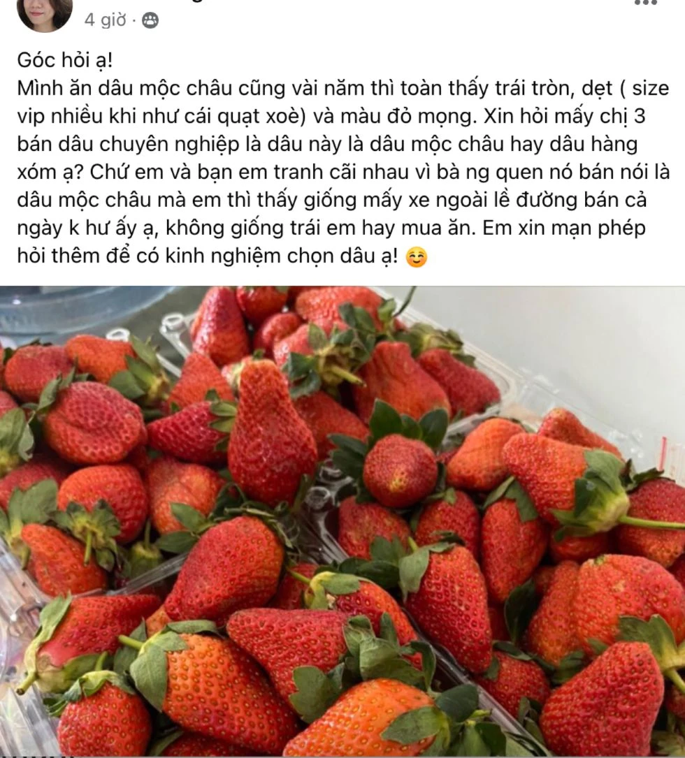 Một bài đăng của người tiêu dùng hỏi về cách chọn dâu tây Mộc Châu. Ảnh chụp màn hình. dâu tây