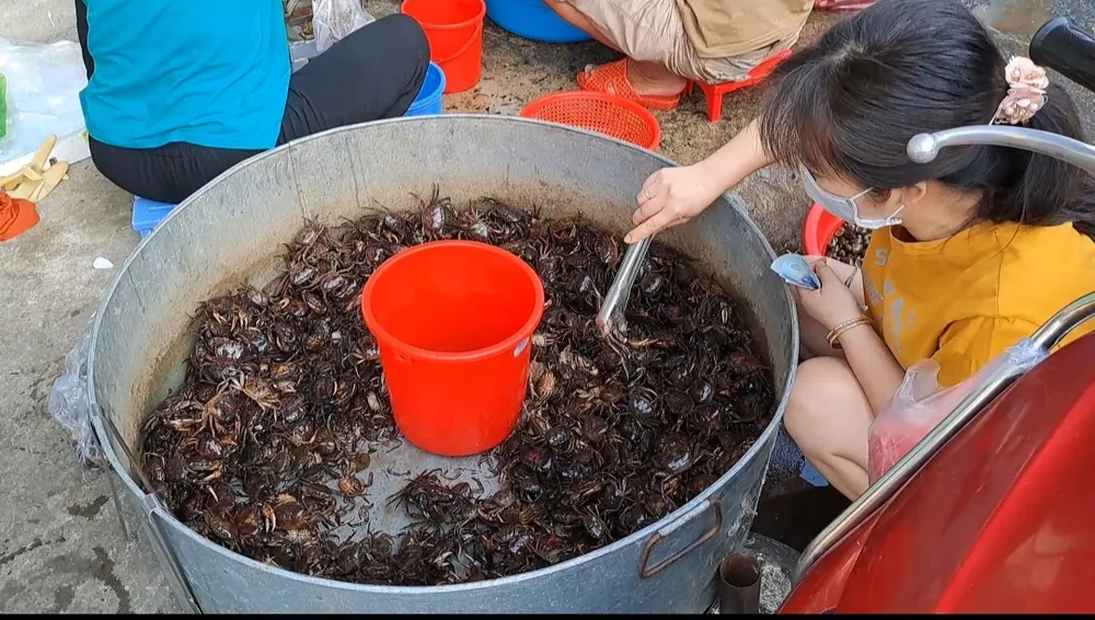 Hàm lượng canxi trong cua đồng rất nhiều. Ảnh: HẠ QUYÊN ĂN CUA ĐỒNG