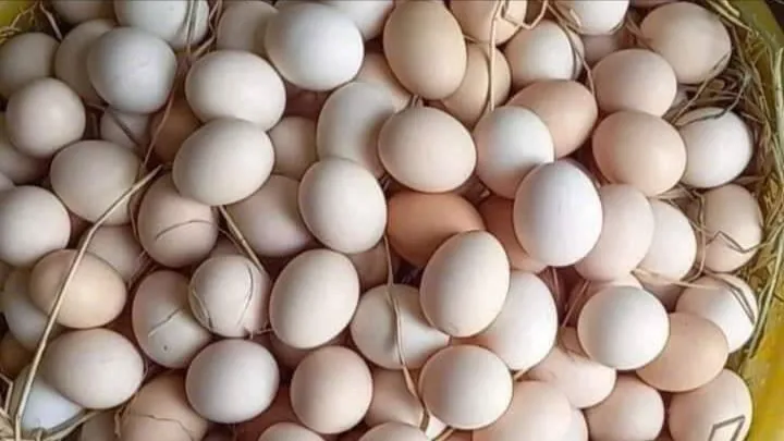 Trứng là thực phẩm phù hợp để tích trữ trong mùa mưa bão. ẢNH: HẠ QUYÊN MÙA MƯA BÃO