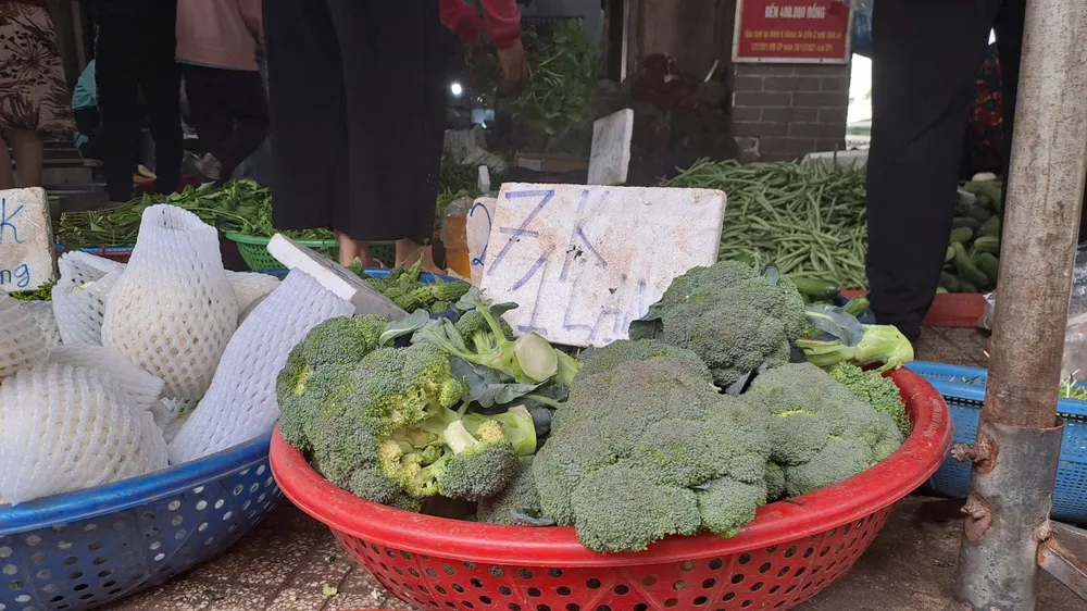 Súp lơ tăng lên mức 70.000 đồng/kg. ẢNH: THU HÀ GIÁ RAU XANH