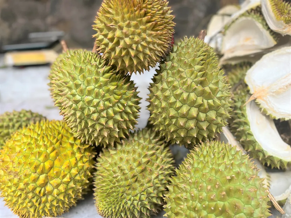 ĐÓNG GÓI SẦU RIÊNG