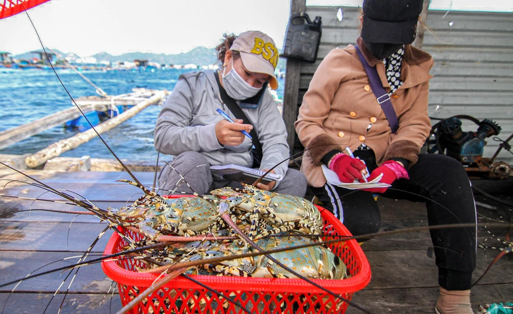 xuất khẩu tôm hùm