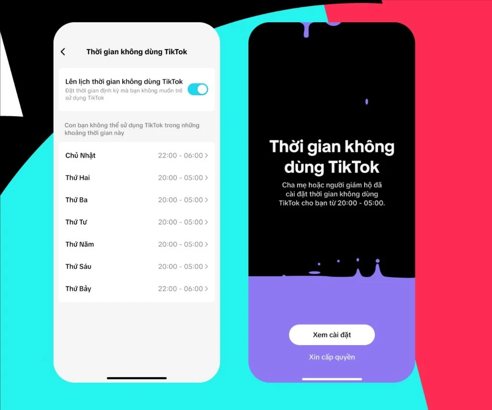 Phụ huynh có thể cài đặt thời gian cho trẻ khi sử dụng TikTok. ẢNH: TIKTOK sử dụng tiktok