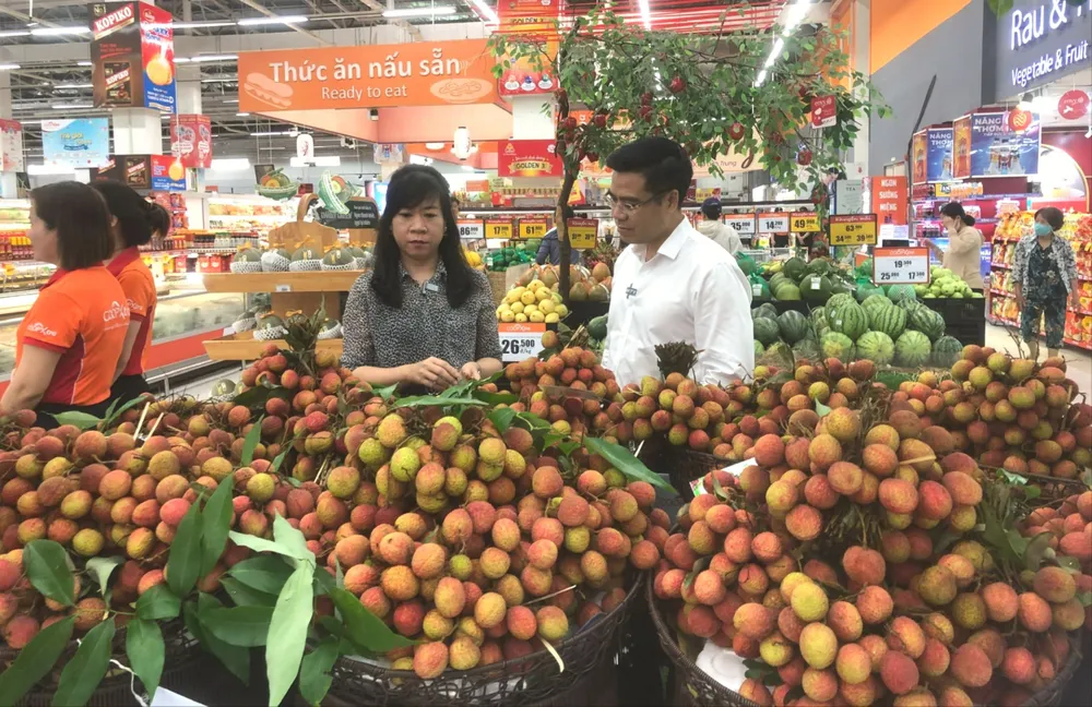 Vải thiều về các siêu thị tại TP.HCM. ẢNH: THU HÀ Chè khúc bạch